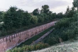 Unikatowa roślinność i ekosystemy